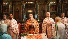 ПараÑÑ‚Ð¾Ñ Ð¡Ñ‚Ð°Ð²Ð°Ð½Ñƒ Мокрањцу