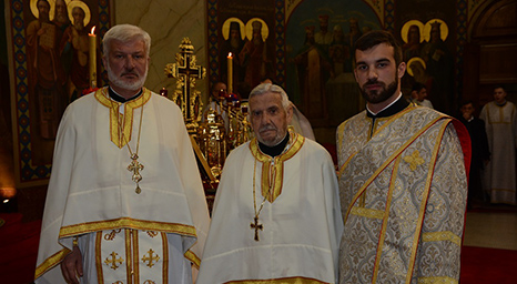 Свештеничка породица Топаловић